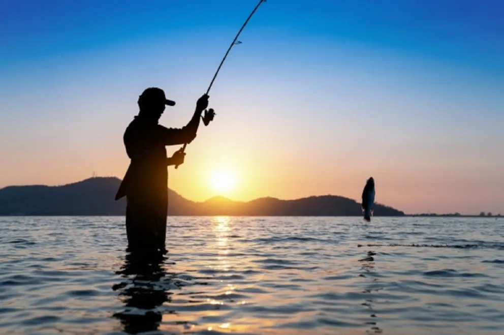 Pesca. Imagen ilustrativa