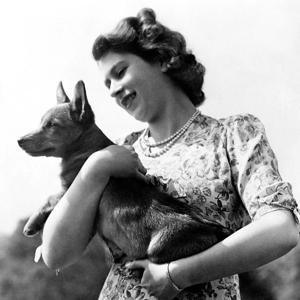 Las mascotas reales de Isabel II cuentan con una carta de comida