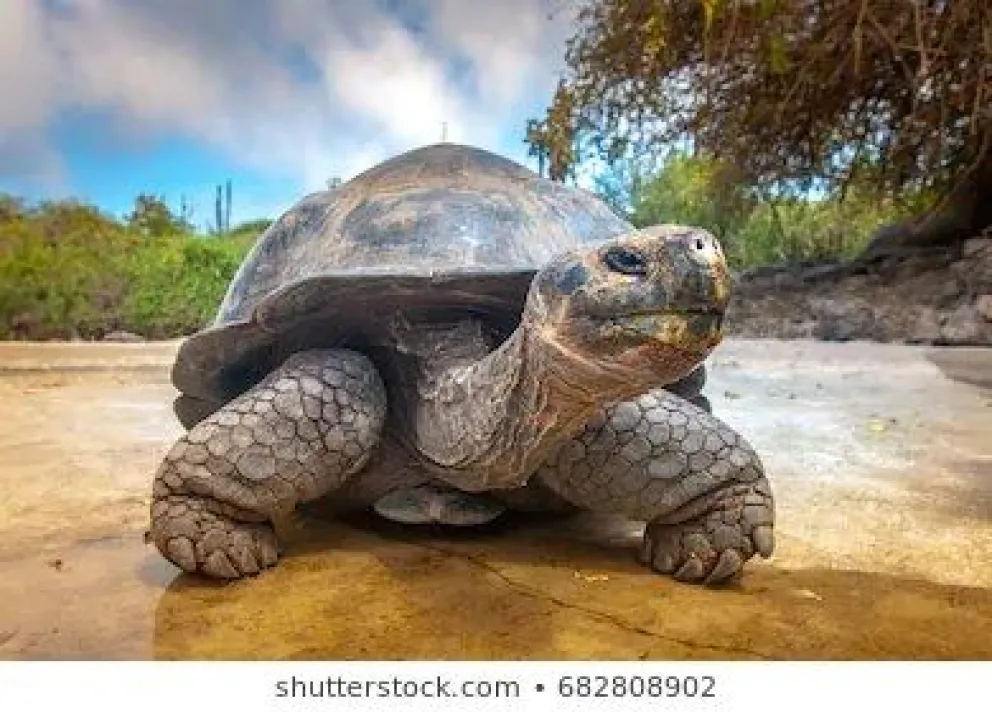 Islas Galápagos