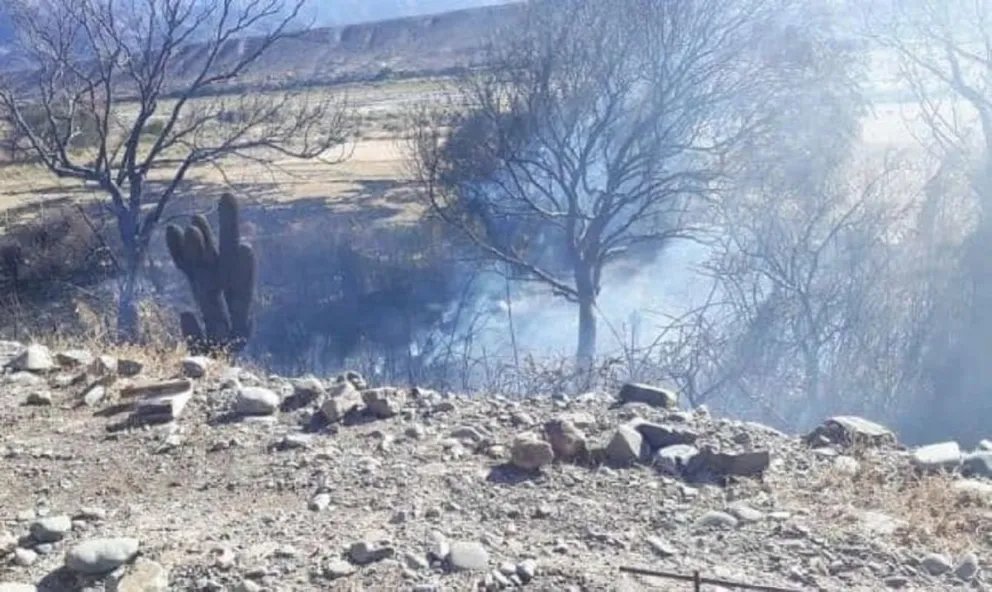 Pánico: un incendio en Cachi provocó pérdidas a los vecinos de la zona. FOTOS