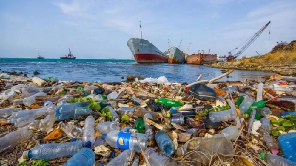 Día Mundial del Medio Ambiente. Fuente: Instagram