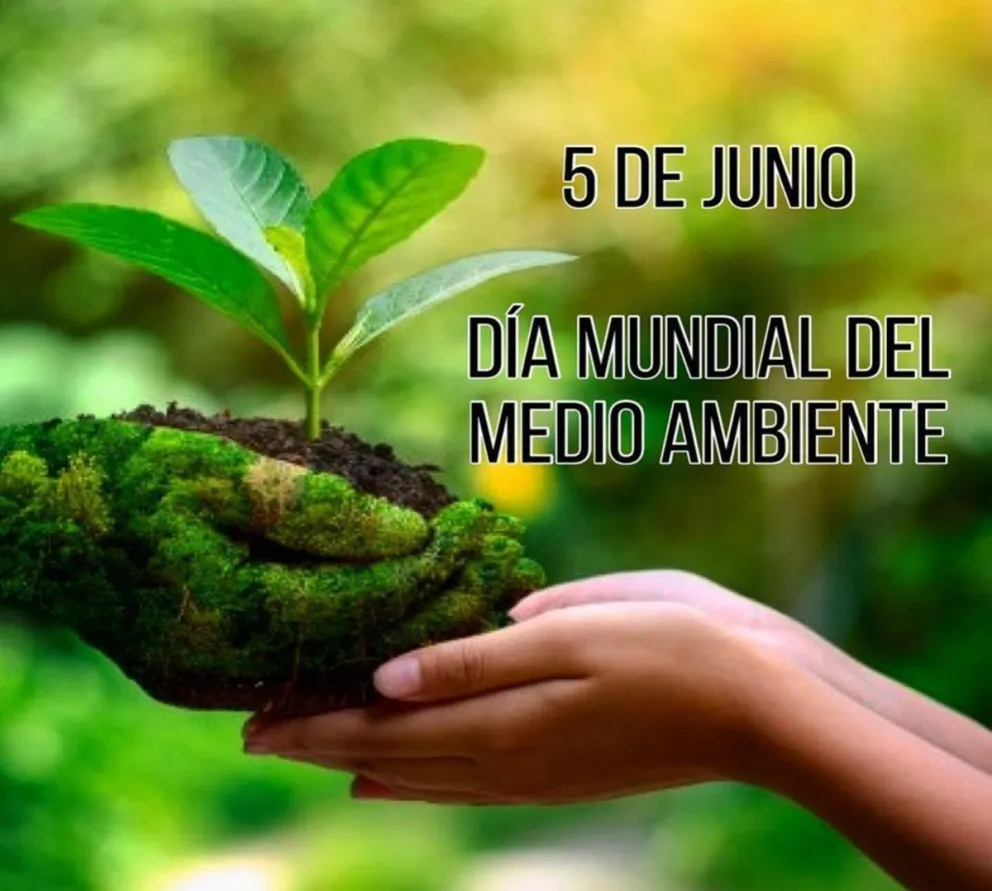 Medio Ambiente Fuente: (Instagram)