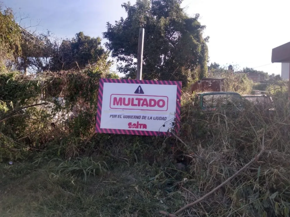 Plan Operativo contra el Dengue