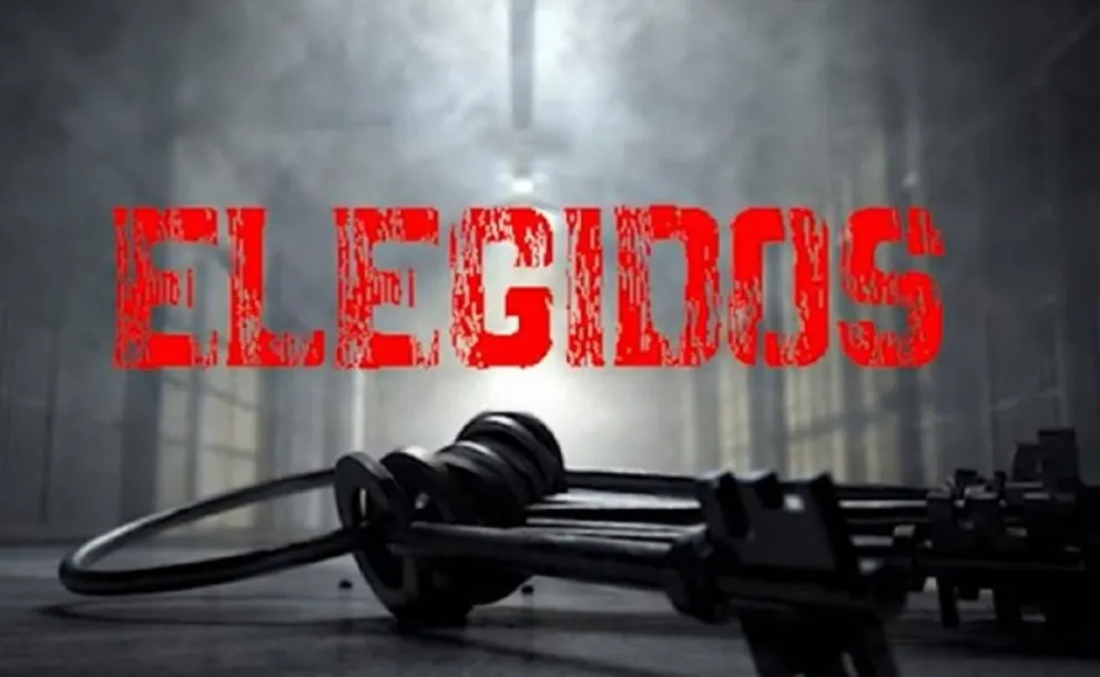 Elegidos. Fuente: twitter