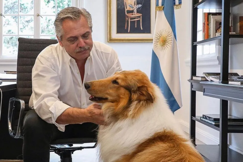 Perro Dylan con el presidente Alberto Fernández: Fuente: Instagram. 