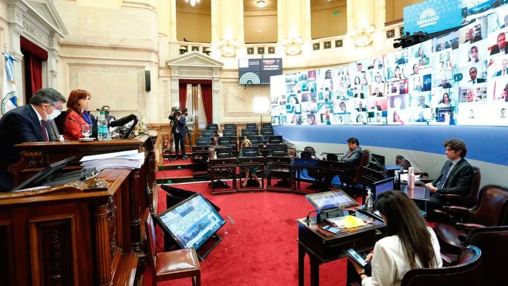 Cuarta sesión remota del Senado de la Nación. Fuente: Twitter