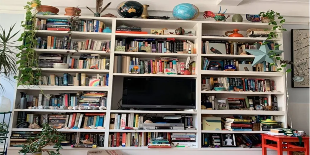 "Encontrar al gato en el mueble", el desafío viral que parece imposible de resolver