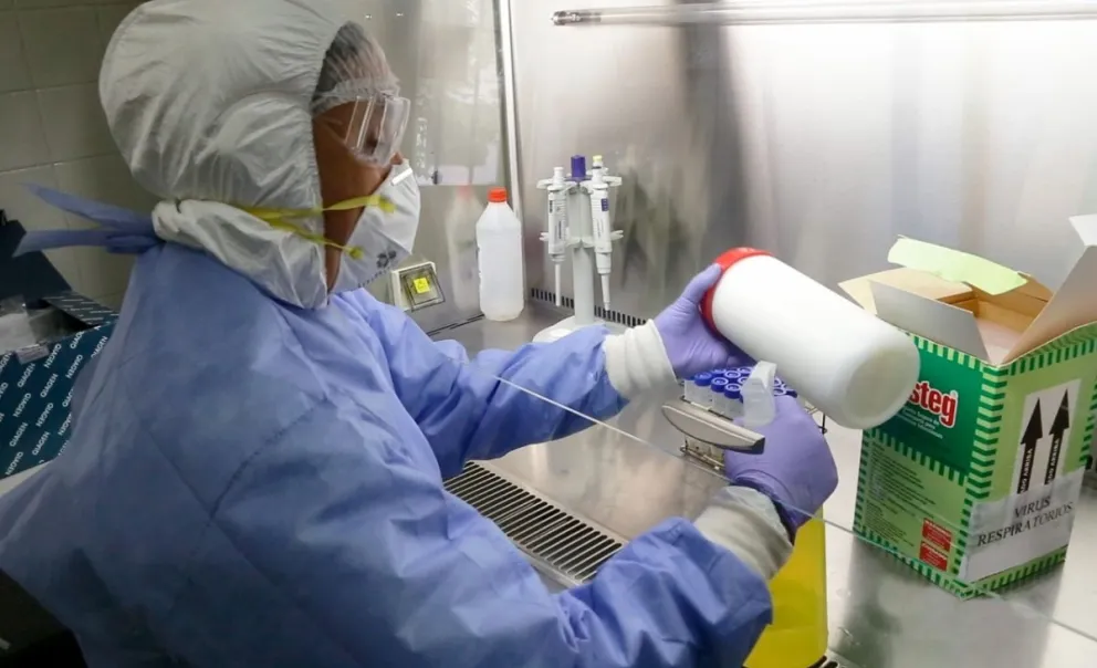 Coronavirus en Salta: Twitter