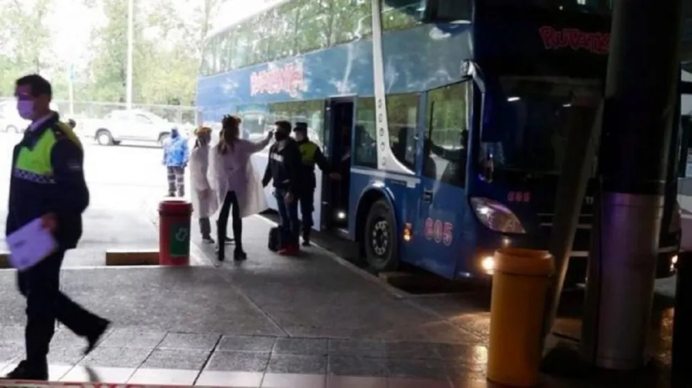 El turismo celebra: cómo acceder a un 20% de descuento para viajar en micro por todo el país