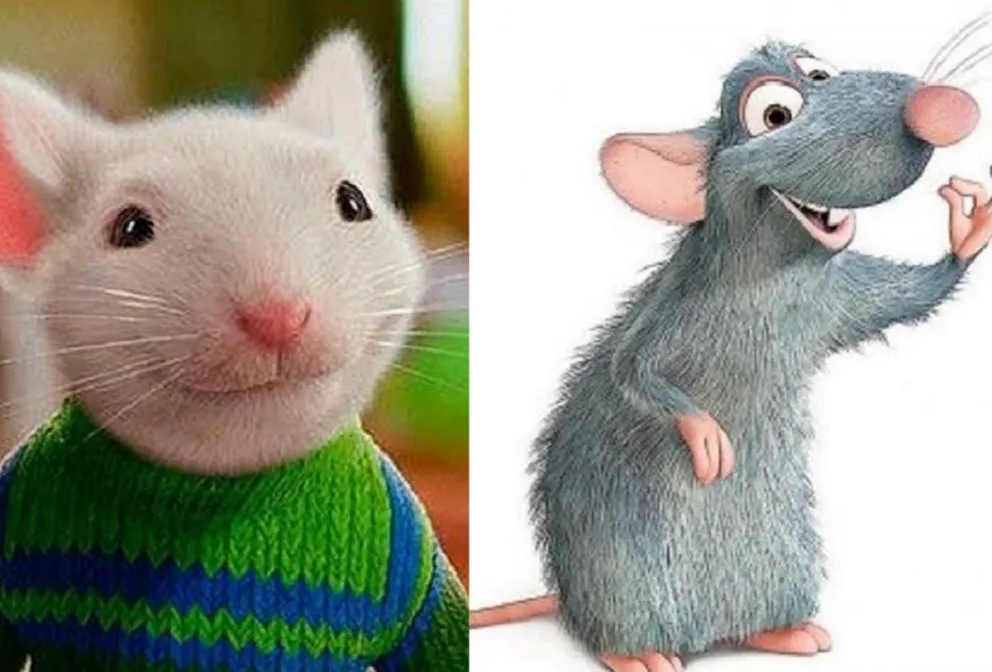 Stuart y Remy Fuente:(Twitter)