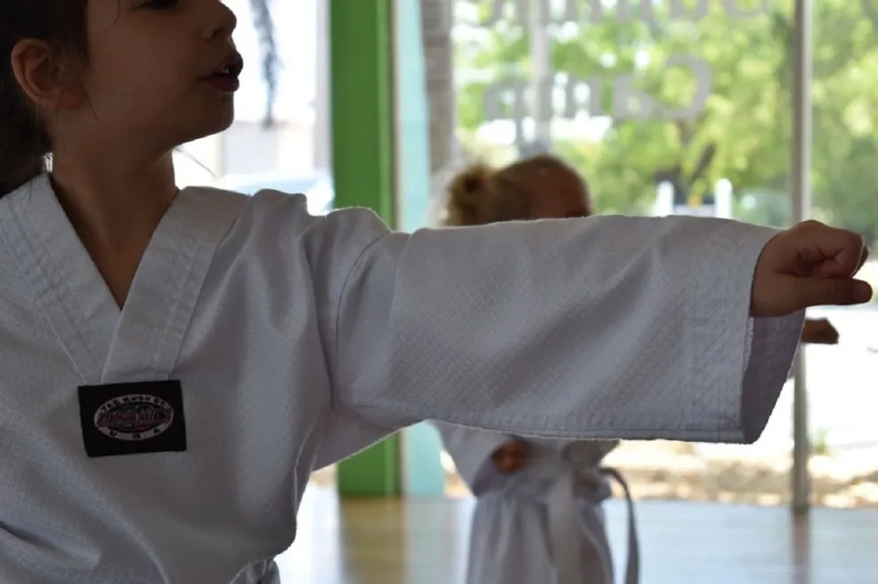 Artes Marciales. Fuente: Pixabay