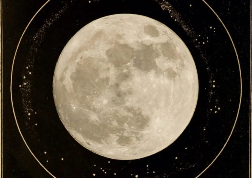 Horóscopo para este lunes 20 de marzo: conocé todas las predicciones para tu signo del zodíaco