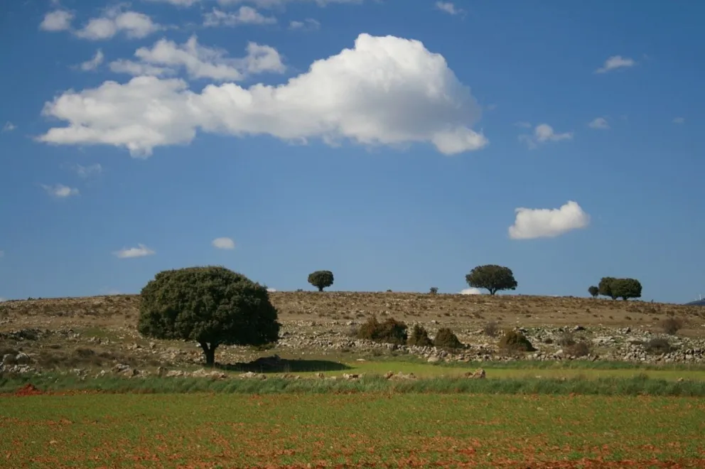 Campos de Soria 