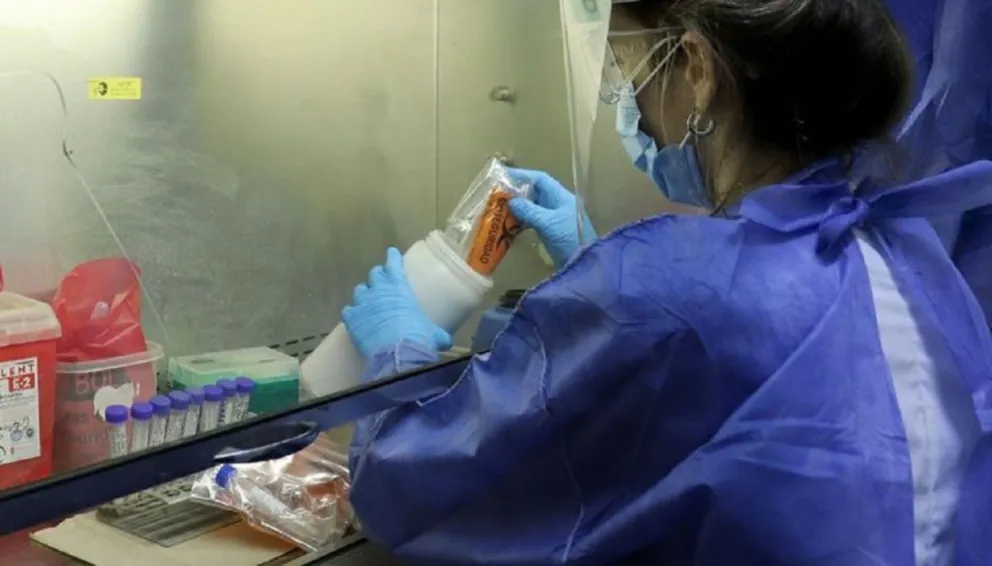 Coronavirus. Fuente: Twitter