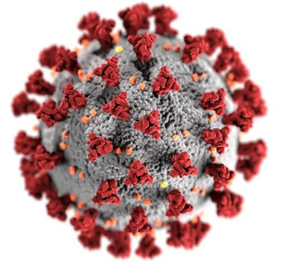 Coronavirus. Fuente (Twitter)