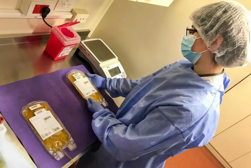 Donación de plasma 