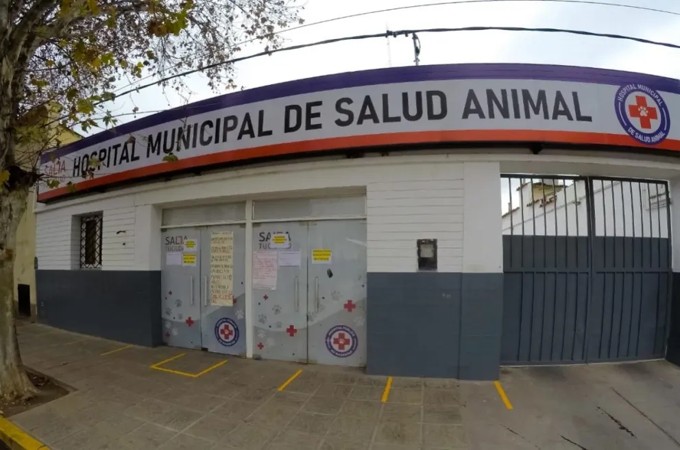 Hospital Municipal de Salud Animal. Fuente: Twitter