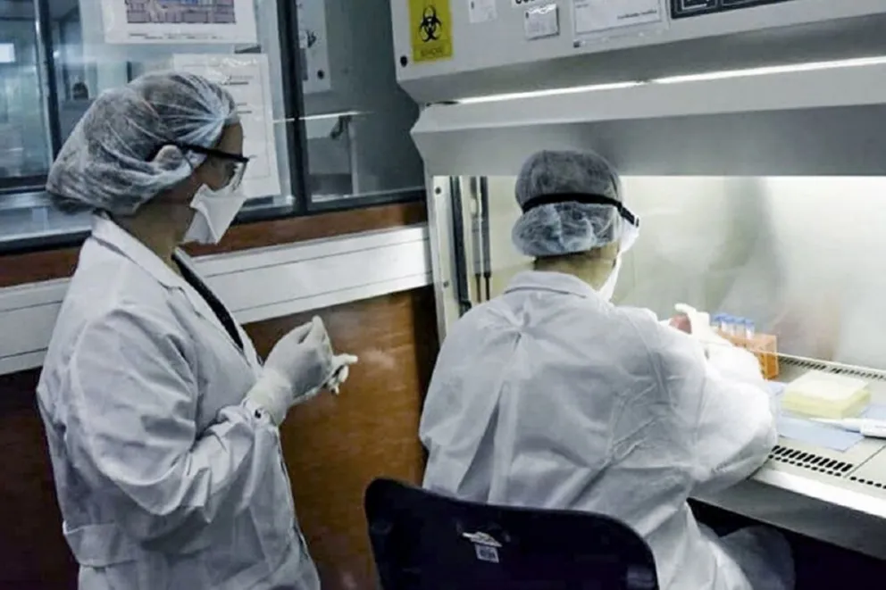 Coronavirus en Salta: Twitter