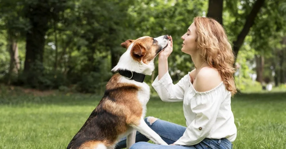 ¿Por qué se celebra hoy el día mundial del perro?