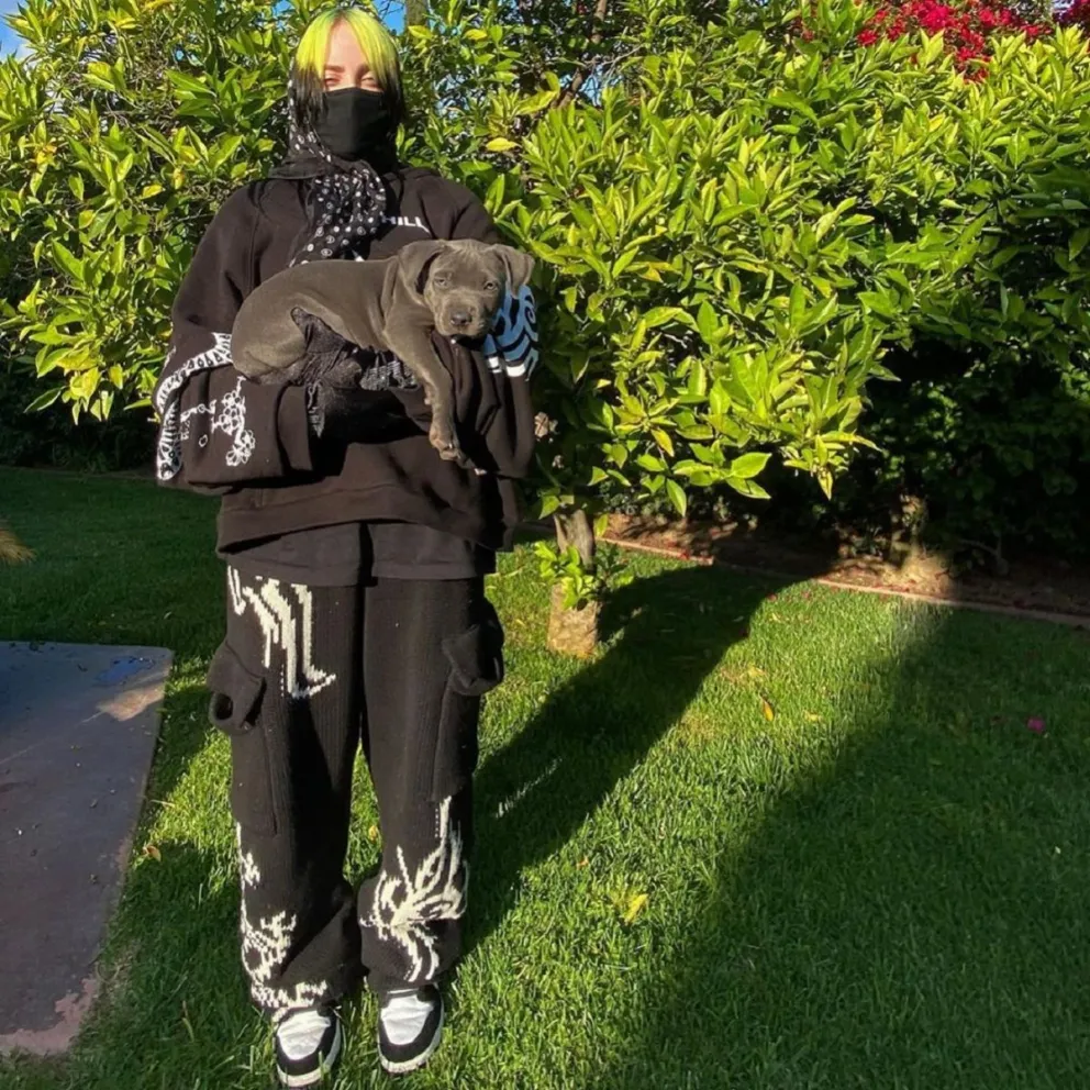 Billie Eilish. Fuente (Instagram)