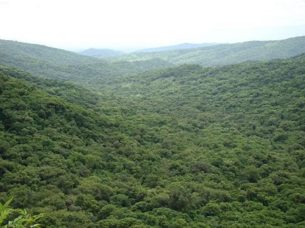 Desmontes