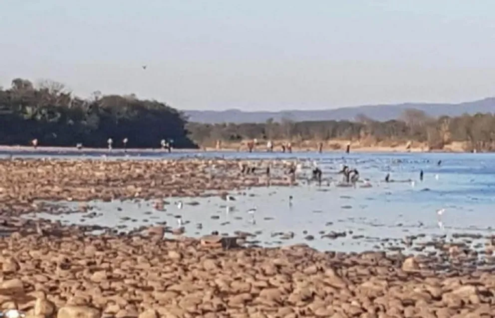 Aguas Blancas