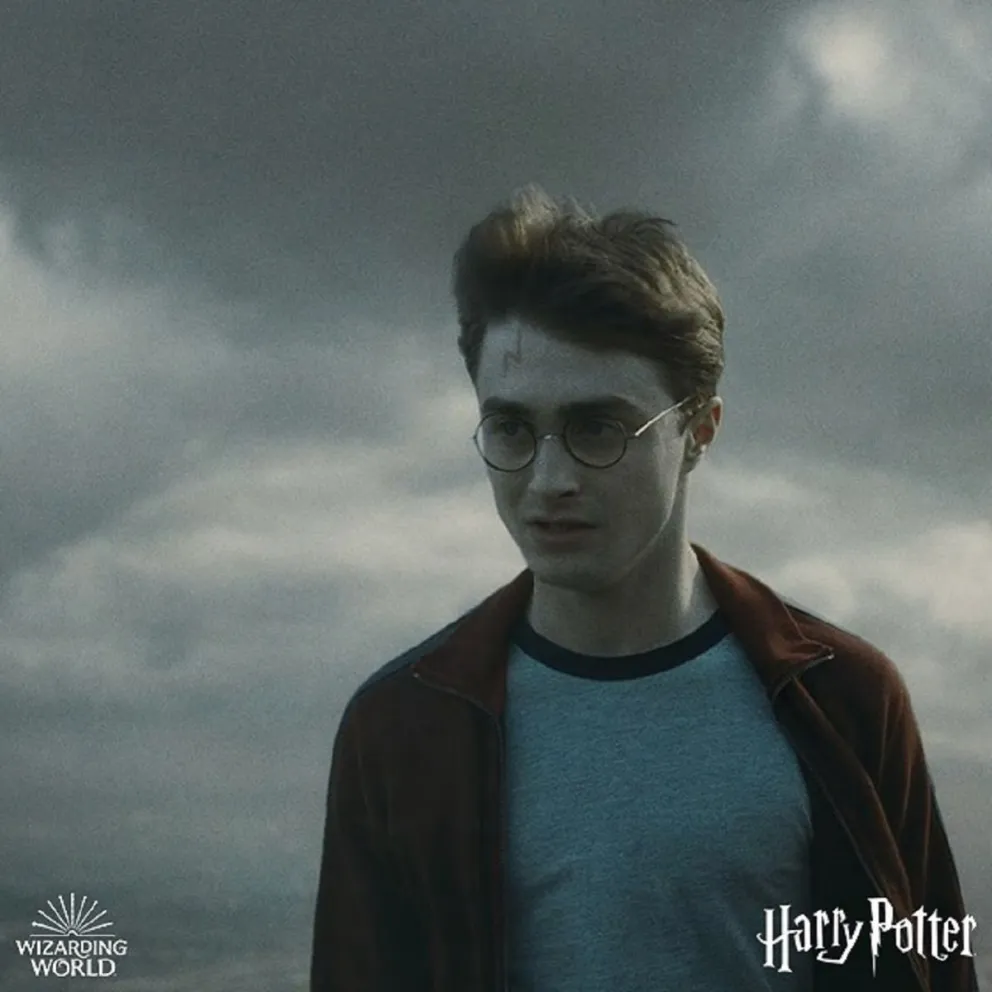 Harry Potter. Fuente (Instagram)