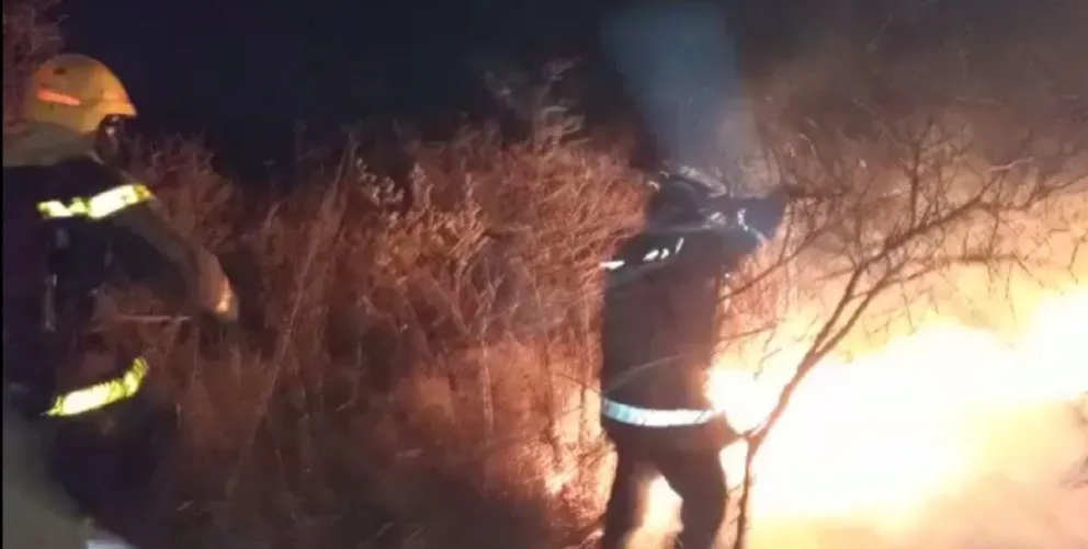 Terribles imágenes: Voraz incendio en los Campos Militares consumió una gran cantidad de hectáreas