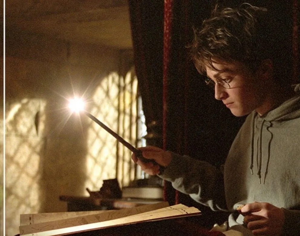 Harry Potter. Fuente: (Instagram)
