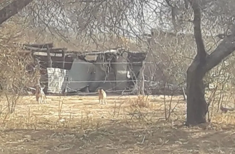 Tristeza y abandono en el interior: abuelito salteño murió hace una semana y sigue sentado en su mecedora