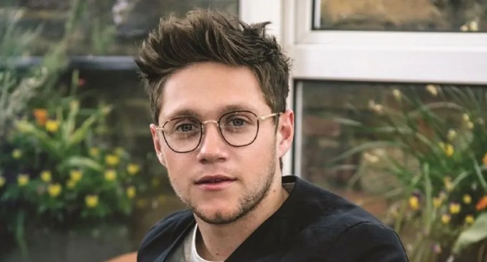 Stream Small Talk: Los fans de Niall Horan piden más reconocimiento para su talento y música