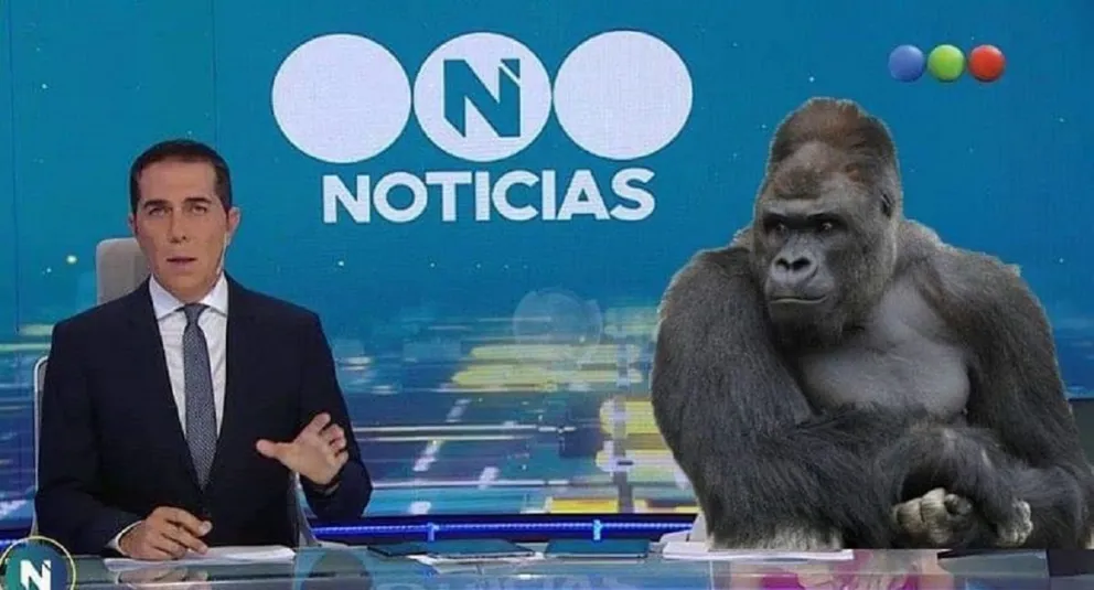 Lo memes coparon la escena nacional tras el anuncio de la vacuna contra el coronavirus