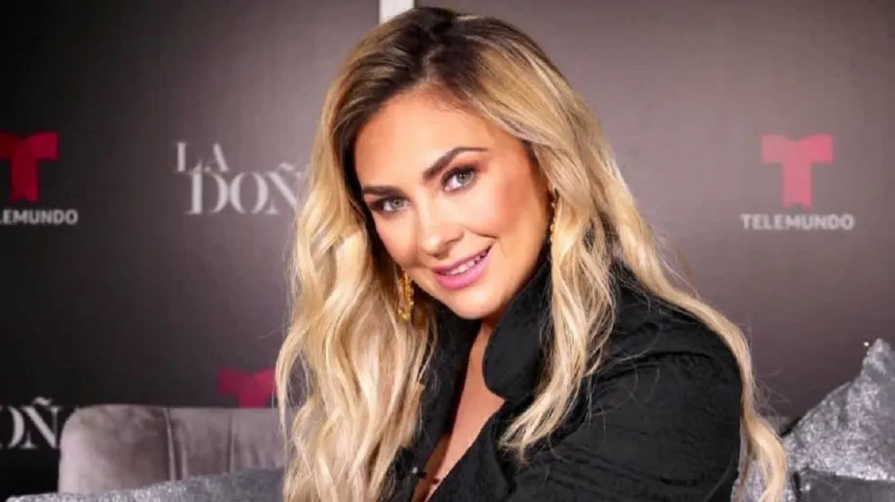 Aracely Arámbula Fuente (Instagram)