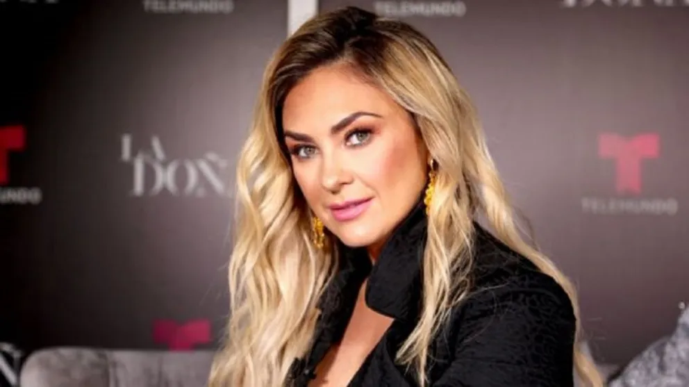 Aracely Arámbula Fuente (Instagram)