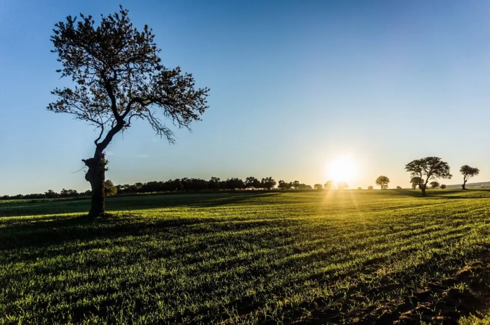 ¡Martes con 30º! Así estará el tiempo durante este 25 de agosto en Salta