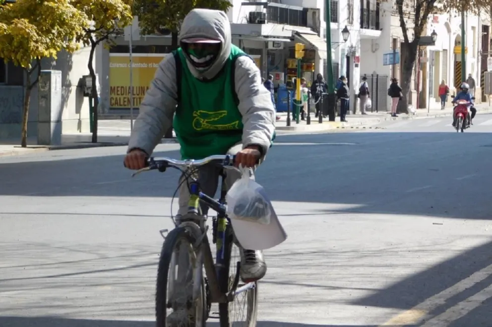 PLENARIO MOVILIDAD
