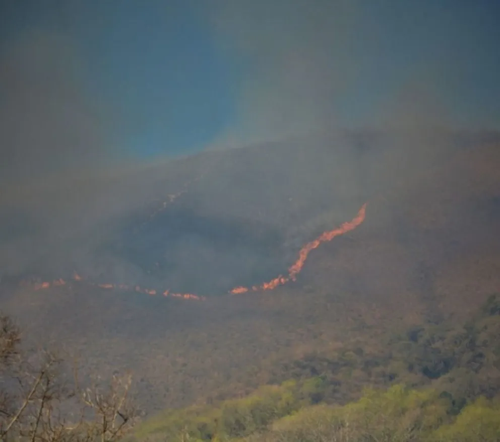Otro cerro salteño fue escenario de un incendio. FOTOS