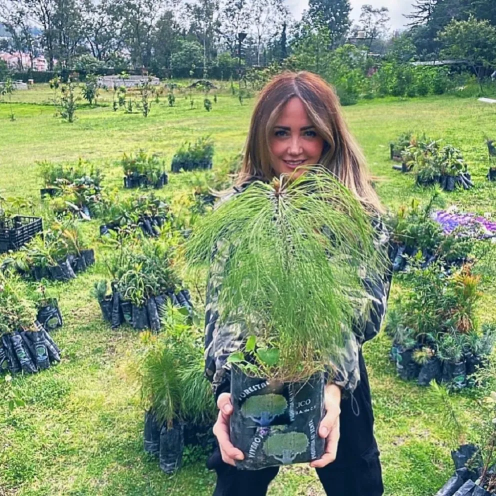 Andrea Legarreta. Fuente (Instagram)