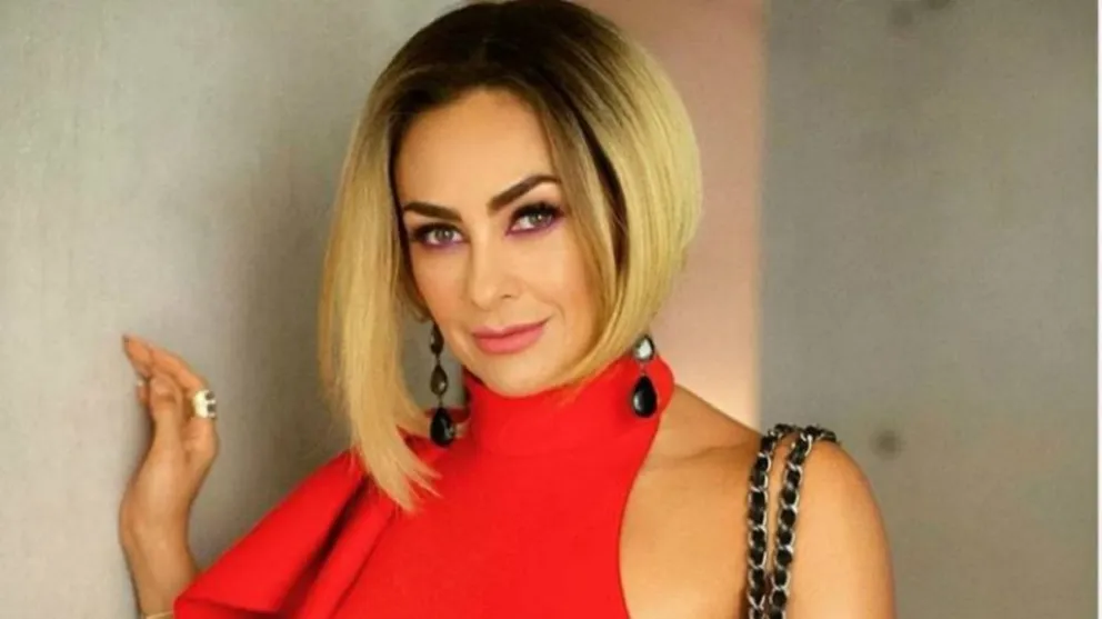 Aracely Arámbula Fuente (Instagram)