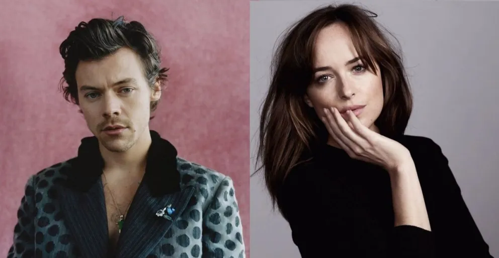 Harry Styles y Dakota Johnson. Fuente (Instagram)