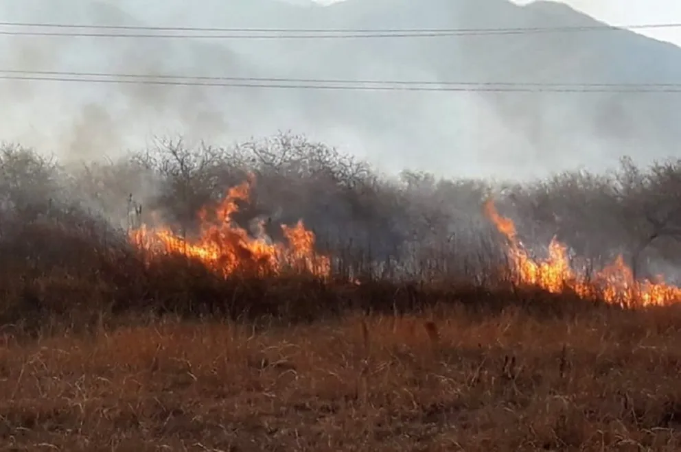 Incendio. Fuente: Twitter