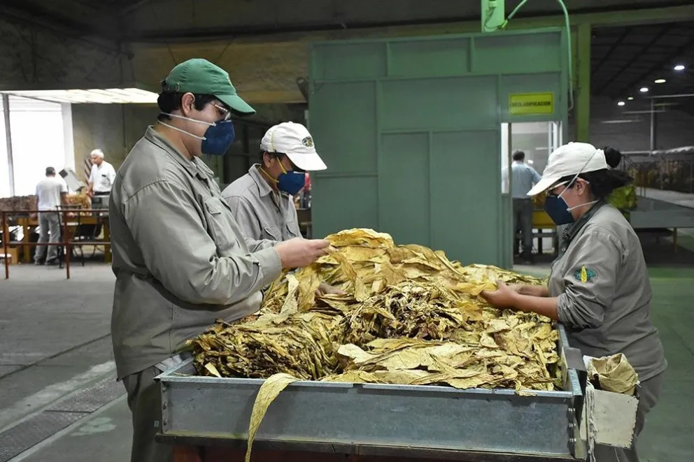 Preocupación en Salta por una ley contra la venta de cigarros: cómo impactará al Fondo Especial del Tabaco