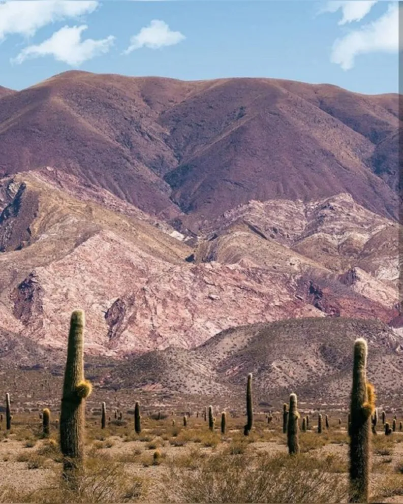 Parque Nacional Los Cardones Fuente: Twitter