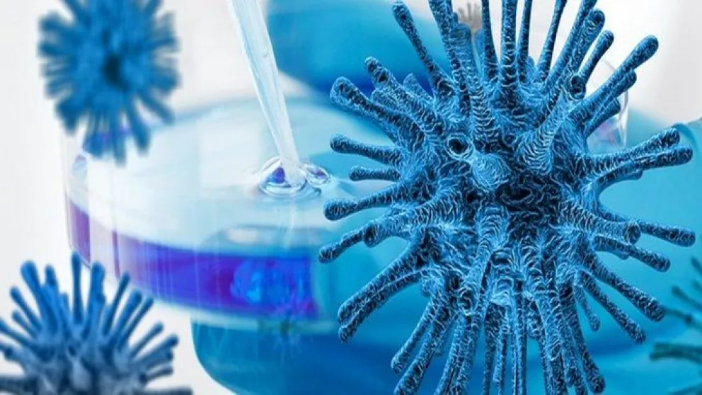 Coronavirus en Salta 