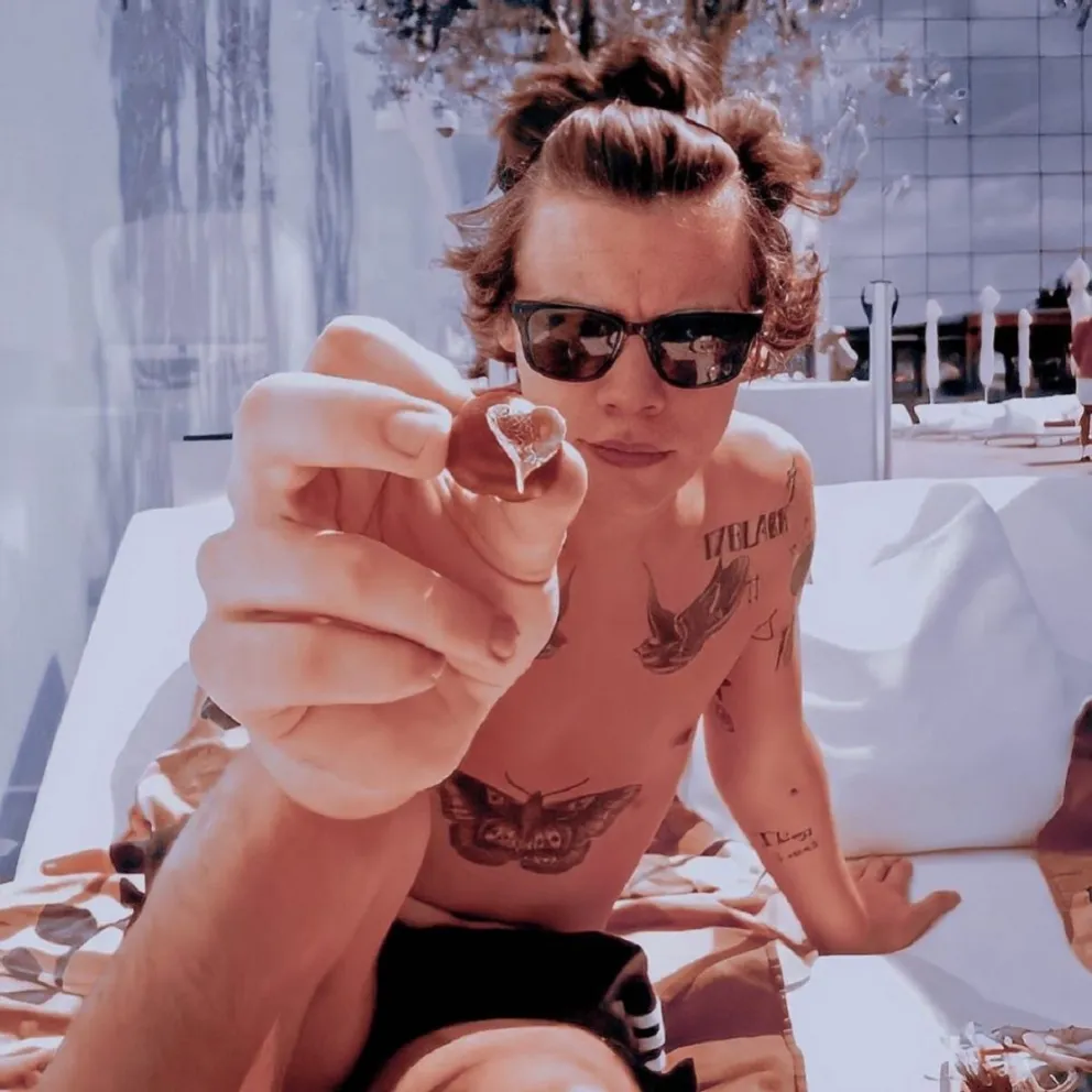 Harry Styles. Fuente (Instagram)