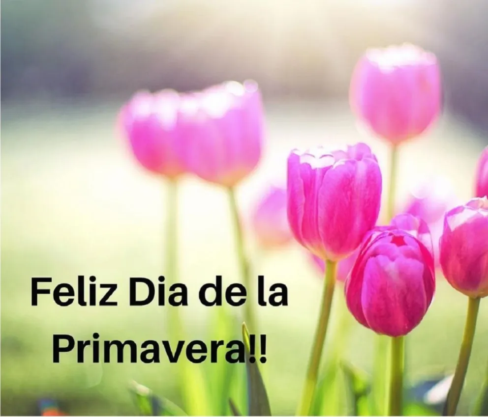 Día de la Primavera. Fuente (Instagram)