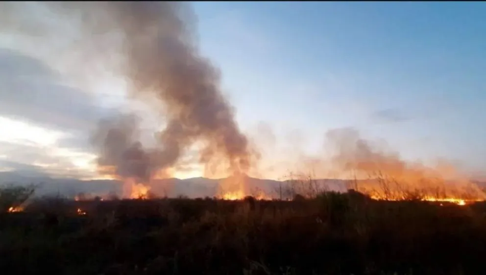 Incendio forestal Fuente (Twitter)