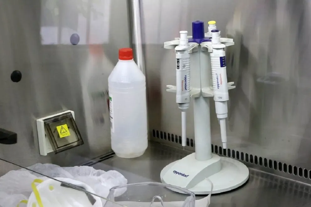 AHORA | Coronavirus en Salta: Hubo 265 contagios y hasta la fecha son 194 muertos