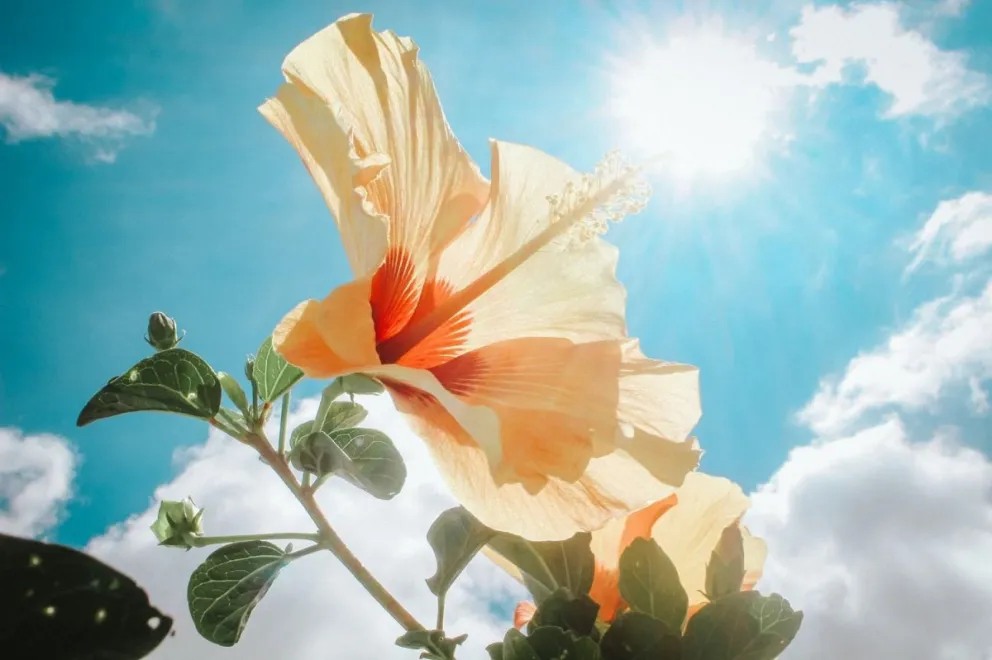 ¡Bello miércoles! Así estará el tiempo durante este 23 de septiembre en Salta