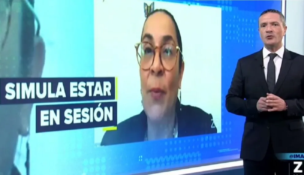 Diputada
